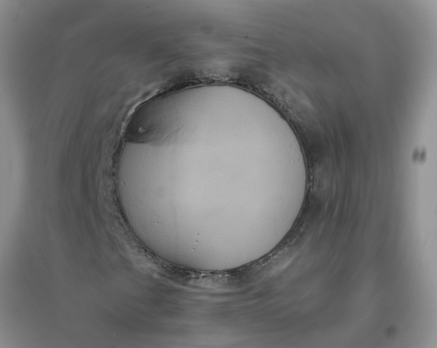 X0000096401201200802071553