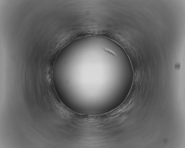 X0000096401202200802071553