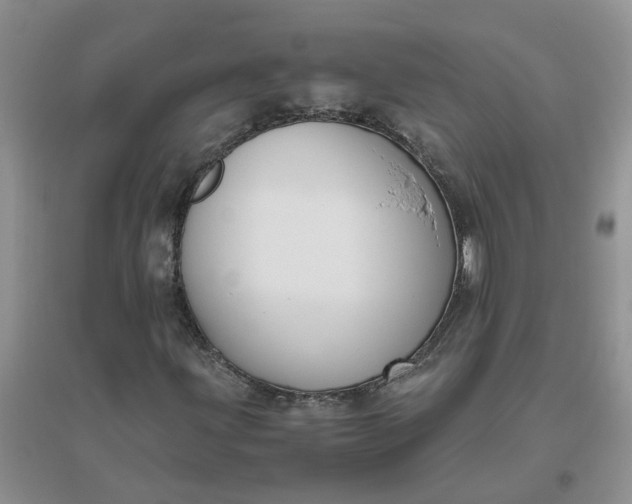 X0000096401203200802071553