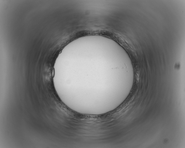 X0000096401204200802071553