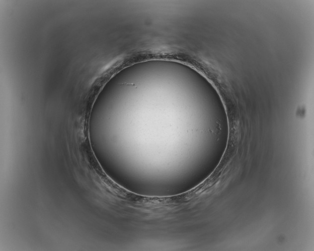 X0000096401205200802071553