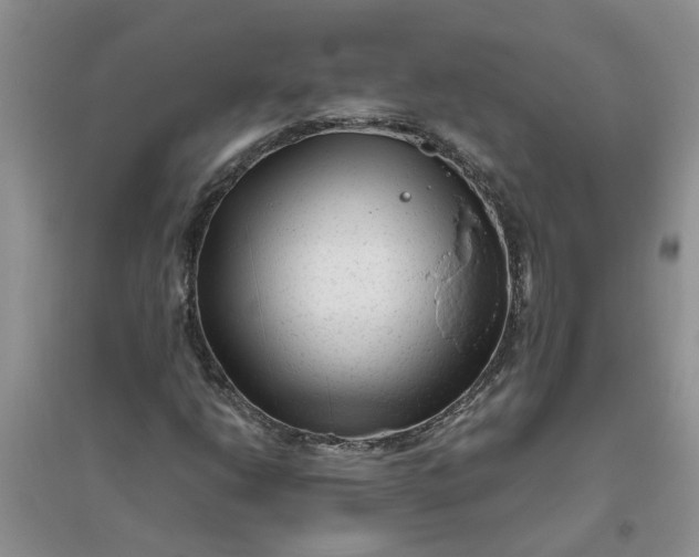 X0000096401206200802071553