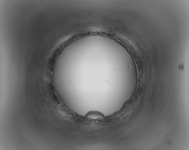 X0000096401207200802071553