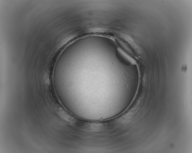 X0000096401209200802071553