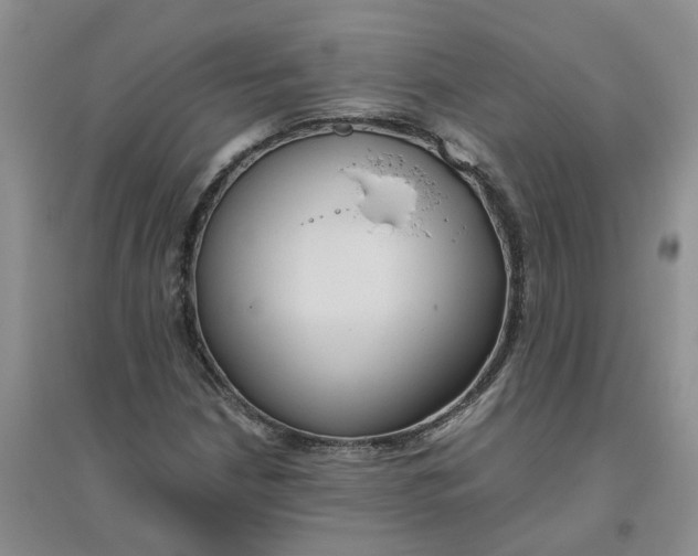 X0000096401210200802071553