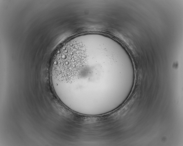 X0000096401211200802071553