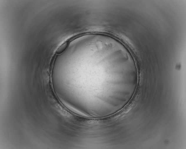 X0000096401212200802071553