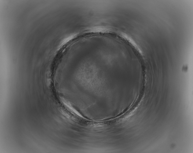 X0000096401213200802071553