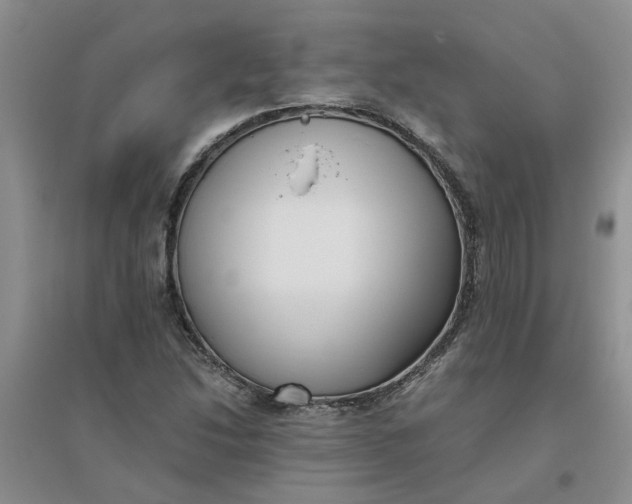 X0000096401214200802071553