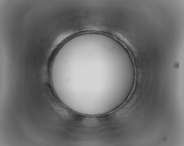 X0000096401215200802071553