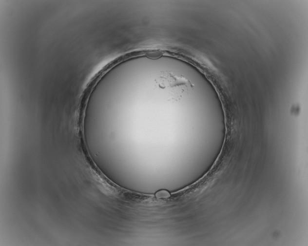 X0000096401216200802071553