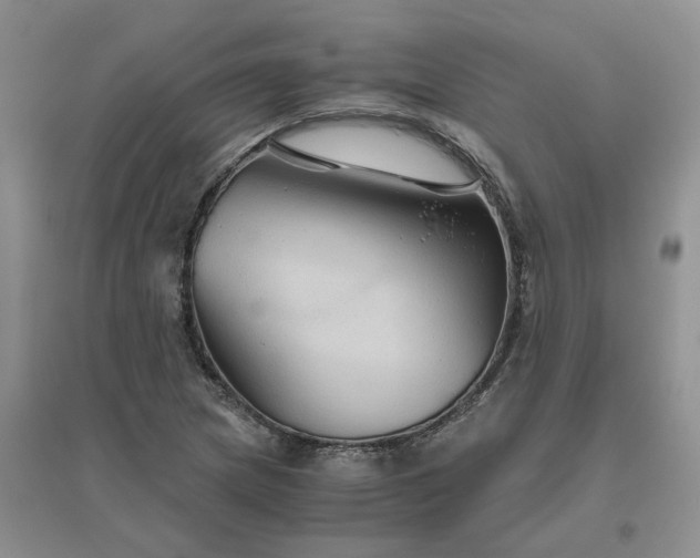 X0000096401217200802071553