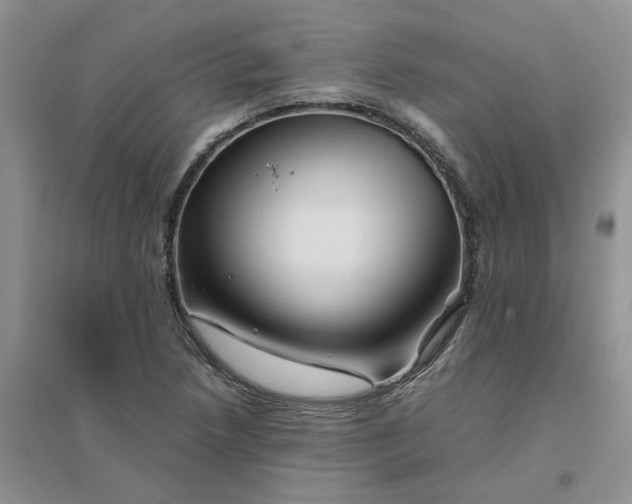 X0000096401218200802071553