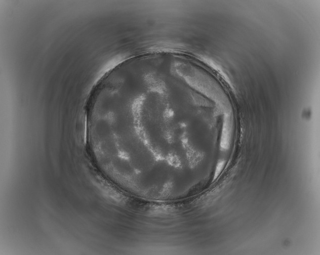 X0000096401219200802071553