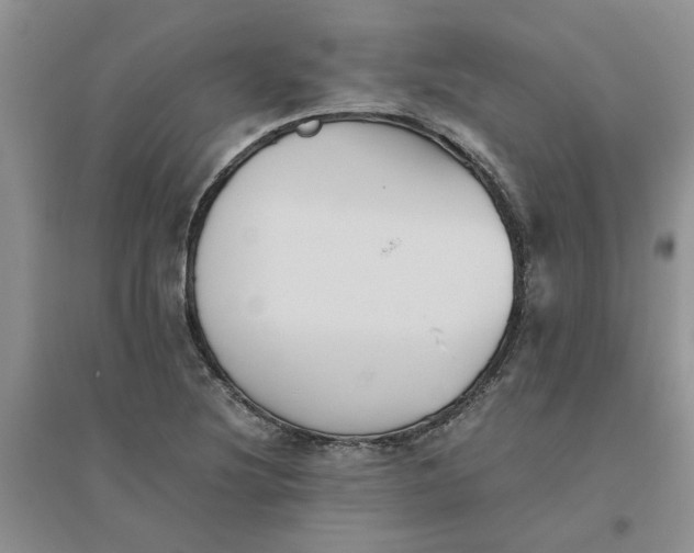 X0000096401220200802071553