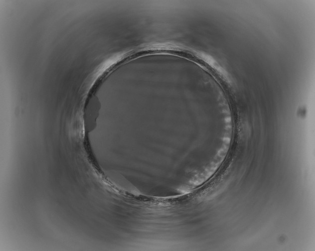 X0000096401221200802071553