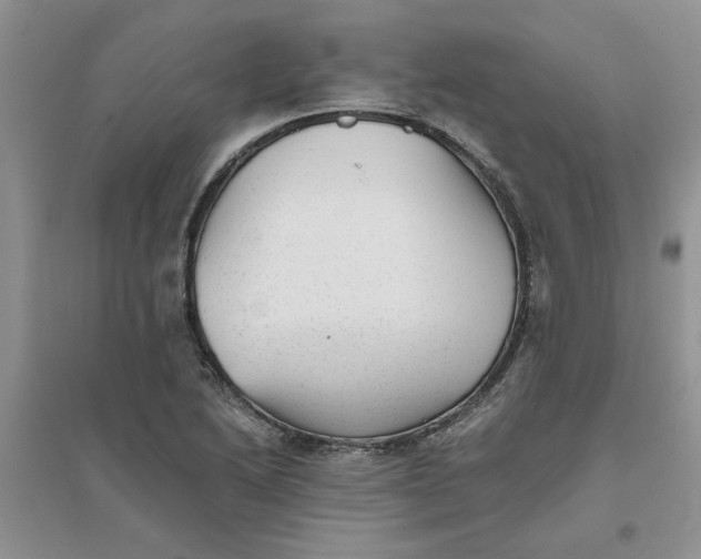 X0000096401222200802071553