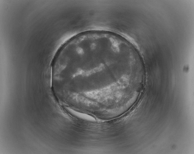 X0000096401223200802071553