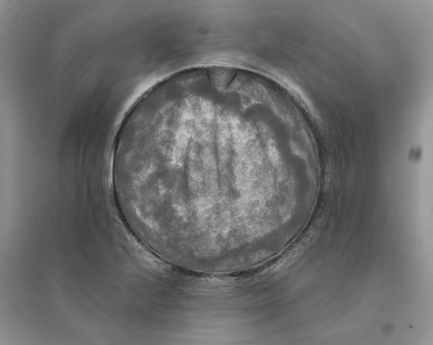 X0000096401224200802071553