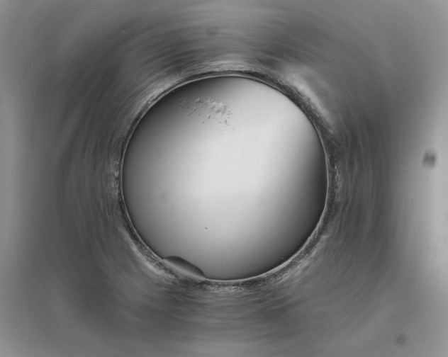 X0000096401225200802071553