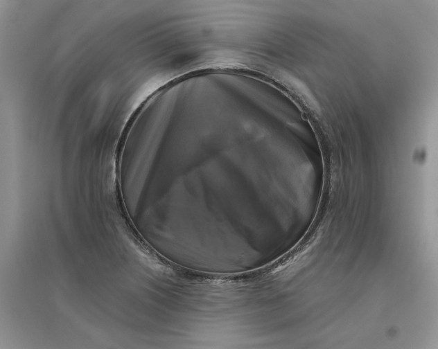 X0000096401226200802071553