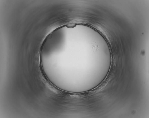 X0000096401227200802071553