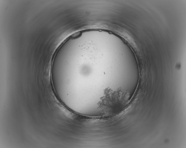 X0000096401228200802071553