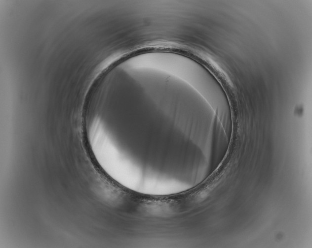 X0000096401229200802071553