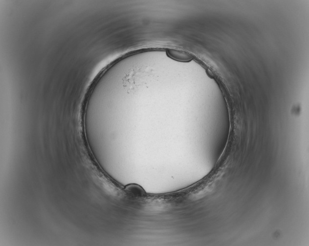 X0000096401230200802071553