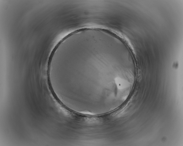 X0000096401231200802071553