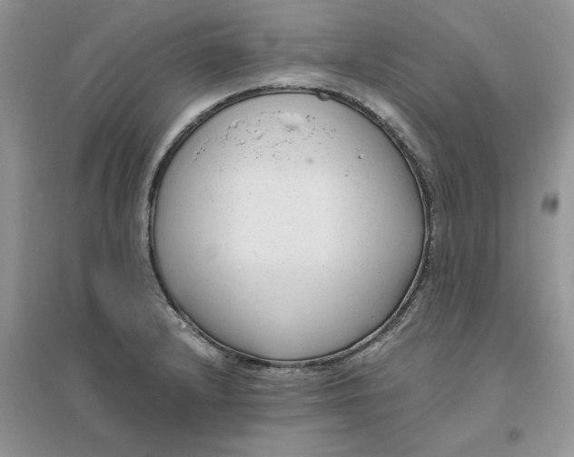 X0000096401232200802071553