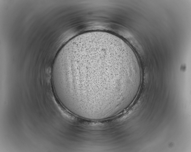 X0000096401233200802071553