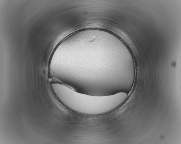 X0000096401234200802071553