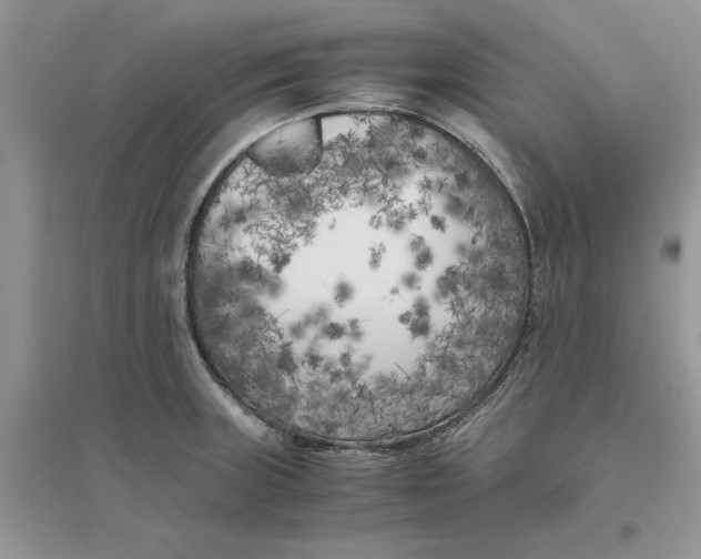 X0000096401235200802071553