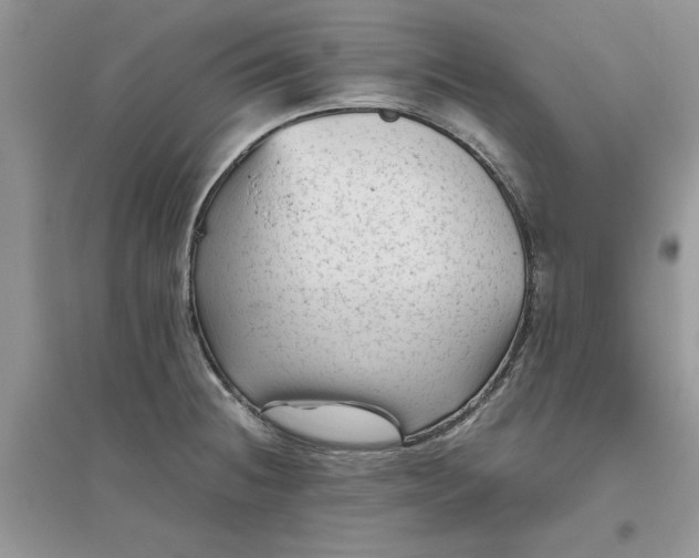 X0000096401236200802071553