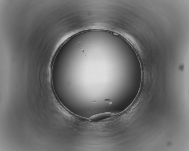 X0000096401238200802071553