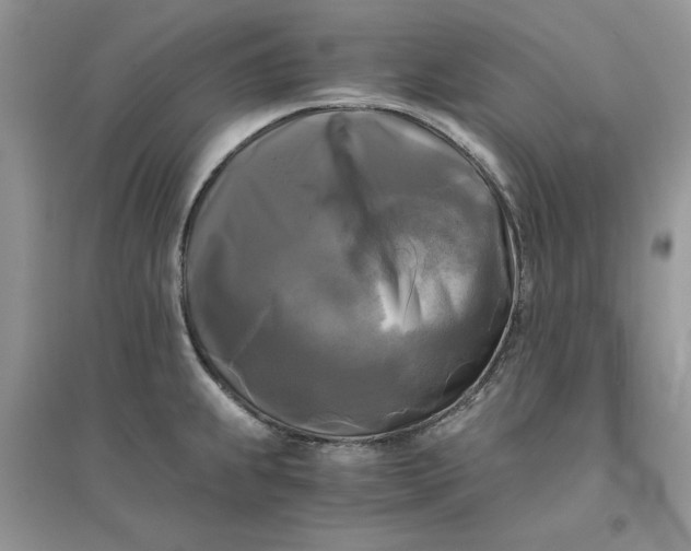 X0000096401239200802071553