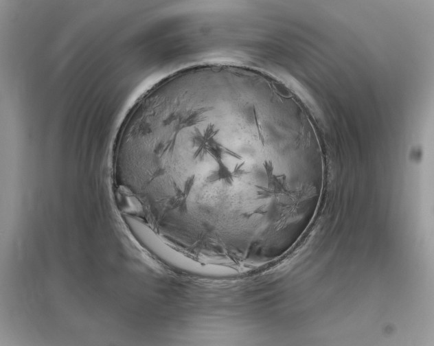 X0000096401240200802071553