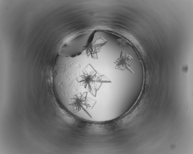 X0000096401241200802071553