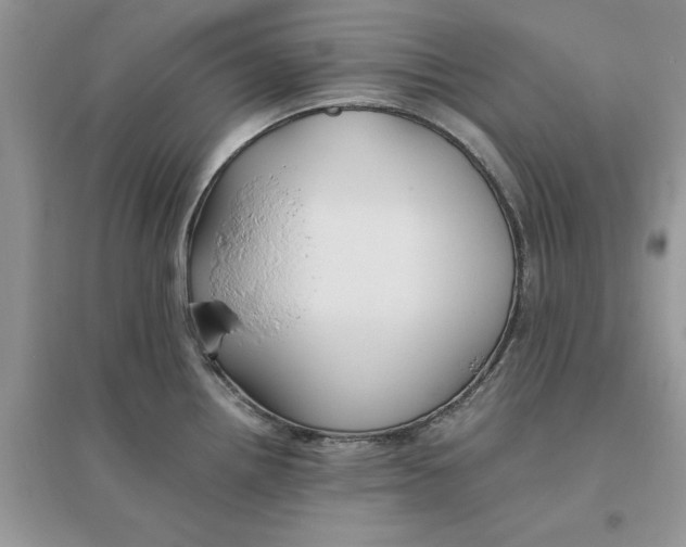 X0000096401242200802071553