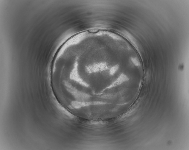 X0000096401243200802071553