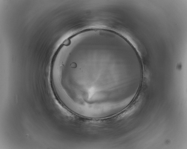 X0000096401245200802071553