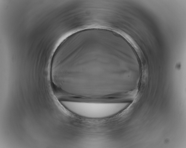 X0000096401246200802071553