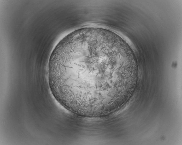 X0000096401247200802071553