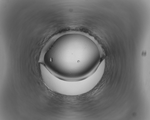 X0000096401249200802071553