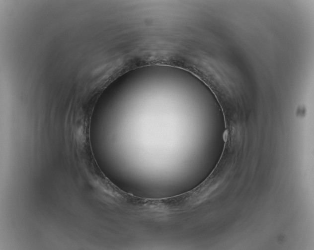 X0000096401250200802071553