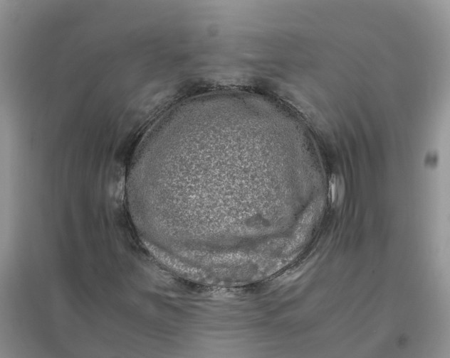 X0000096401251200802071553