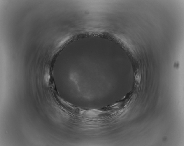 X0000096401252200802071553