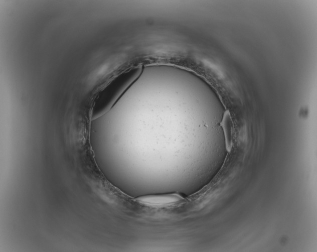 X0000096401253200802071553