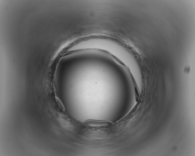 X0000096401256200802071553